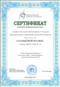 Муниципальный этап всероссийского конкурса сочинений